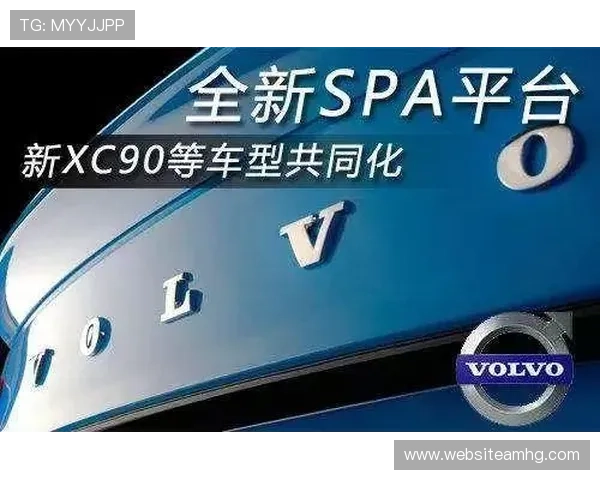 新2官网网址更新公告，最新官方入口地址推荐与查询指南